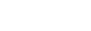 Texas-Nationalist-Movement-full-logo-rebuild-white-transparent-1