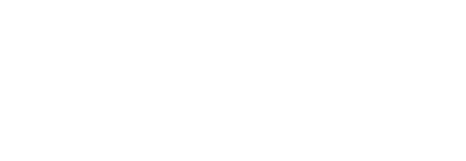 Texas-Nationalist-Movement-full-logo-rebuild-white-transparent-1