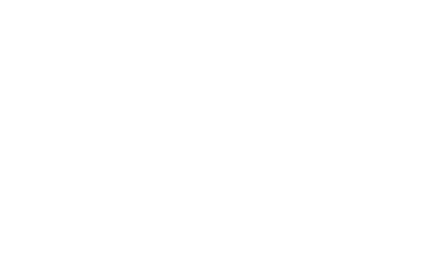 texian-store-logo